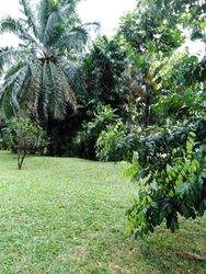 Laguna Park (D15), Apartment #484411151